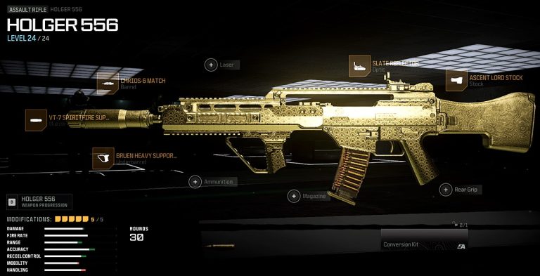 Holger 556 Assault Rifle loadout for Call of Duty: Warzone.